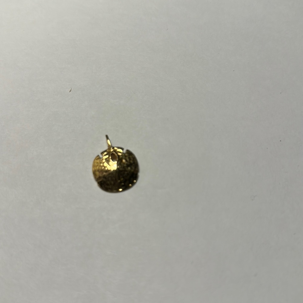 14kt Gold Sand Dollar Pendant